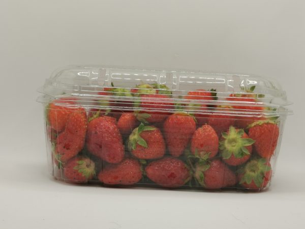 Fragole - immagine 3