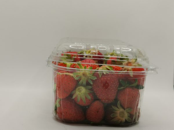 Fragole - immagine 4