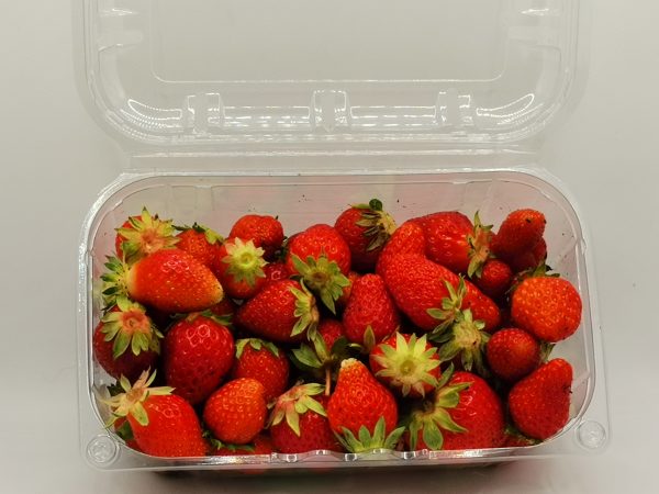 Fragole - immagine 5